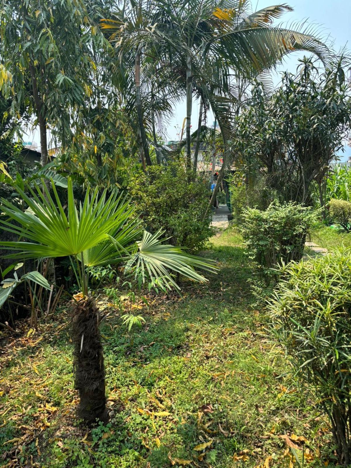 Cherry Garden Pokhara Ngoại thất bức ảnh