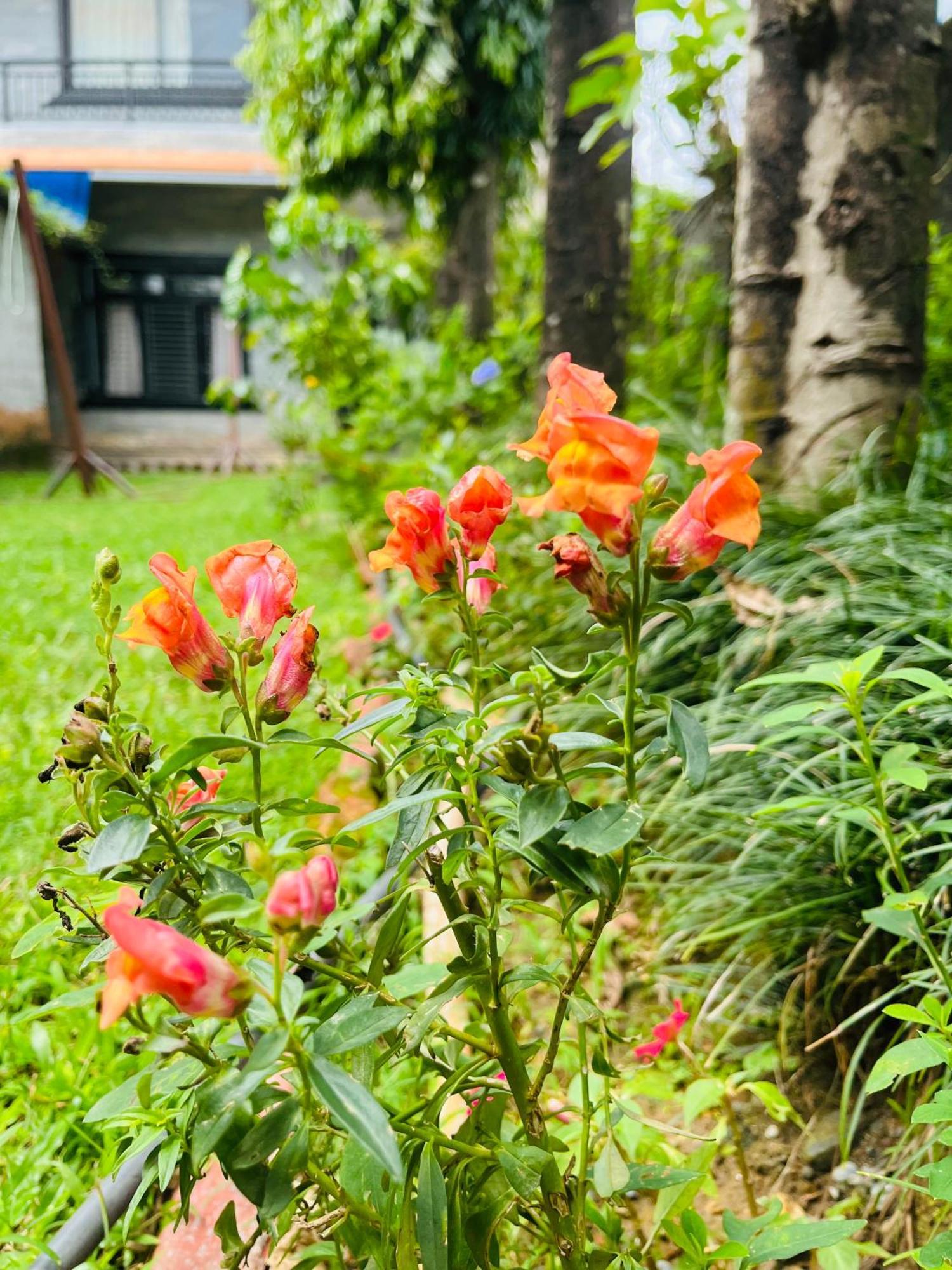 Cherry Garden Pokhara Ngoại thất bức ảnh