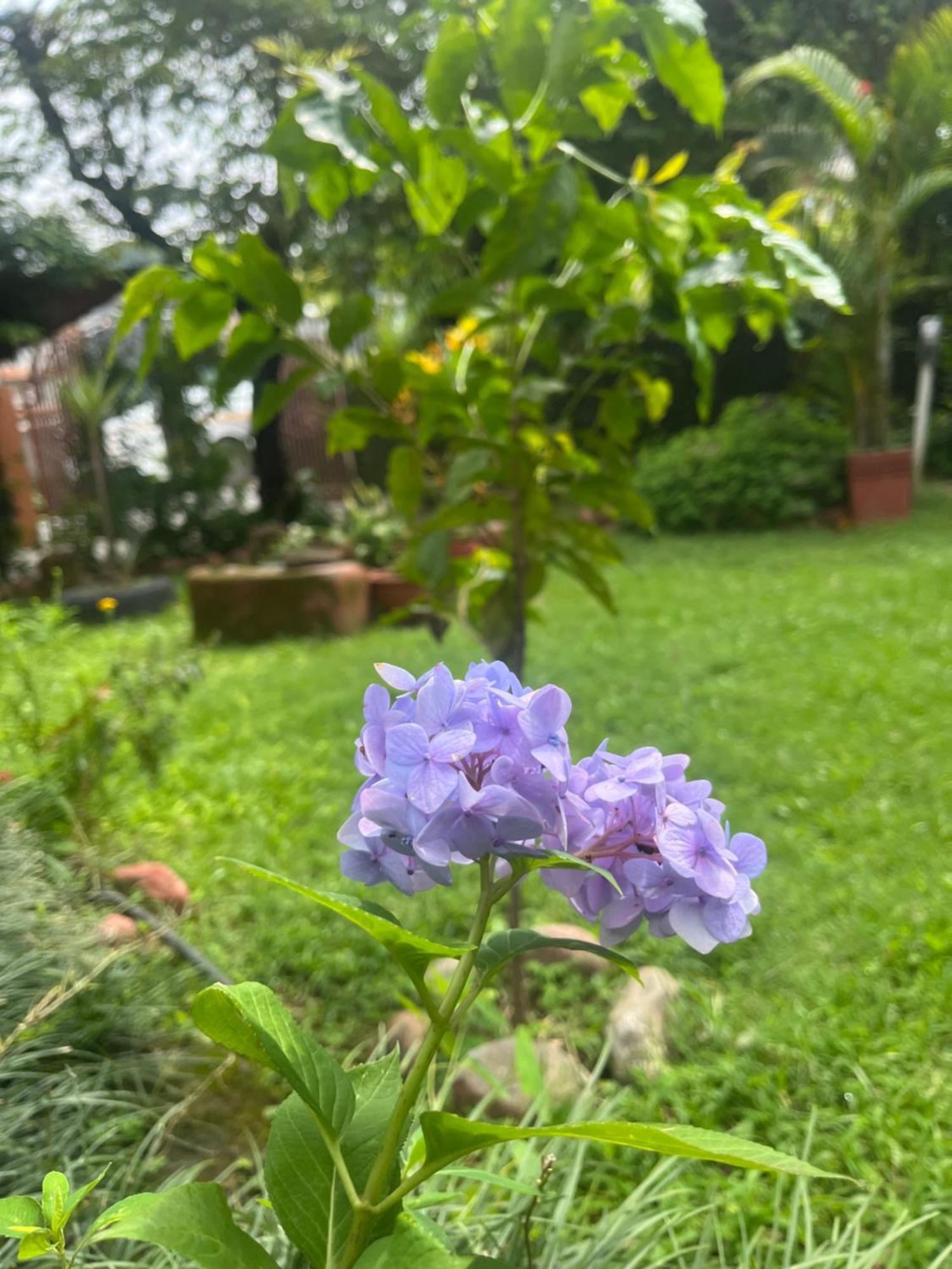 Cherry Garden Pokhara Ngoại thất bức ảnh