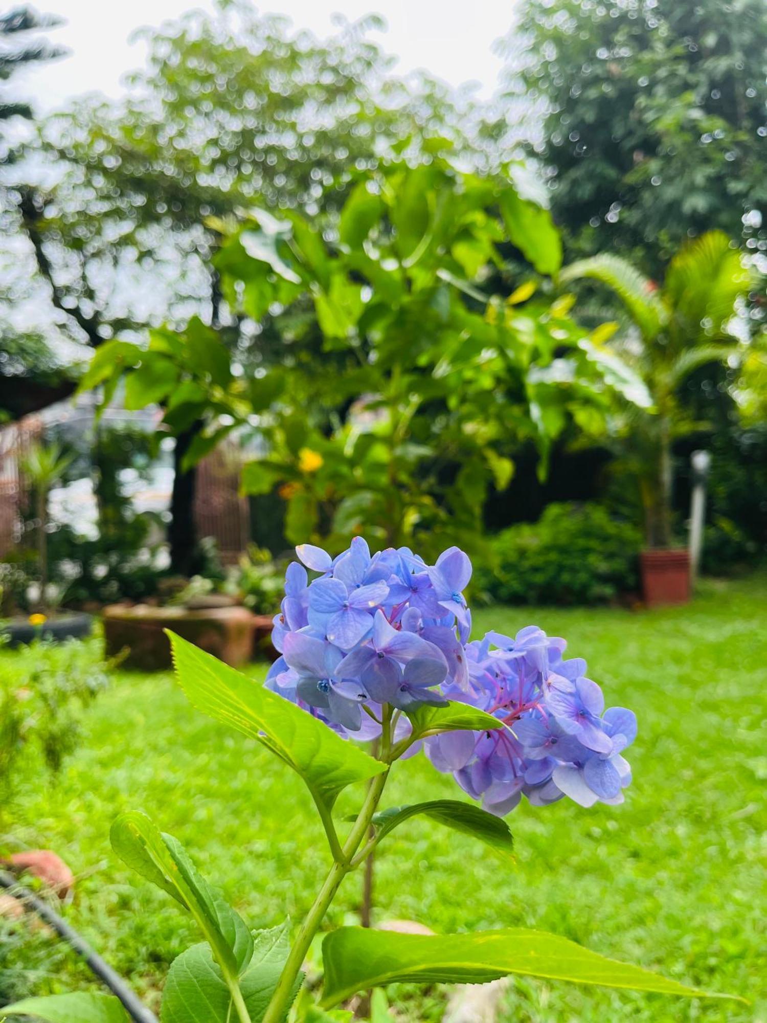 Cherry Garden Pokhara Ngoại thất bức ảnh